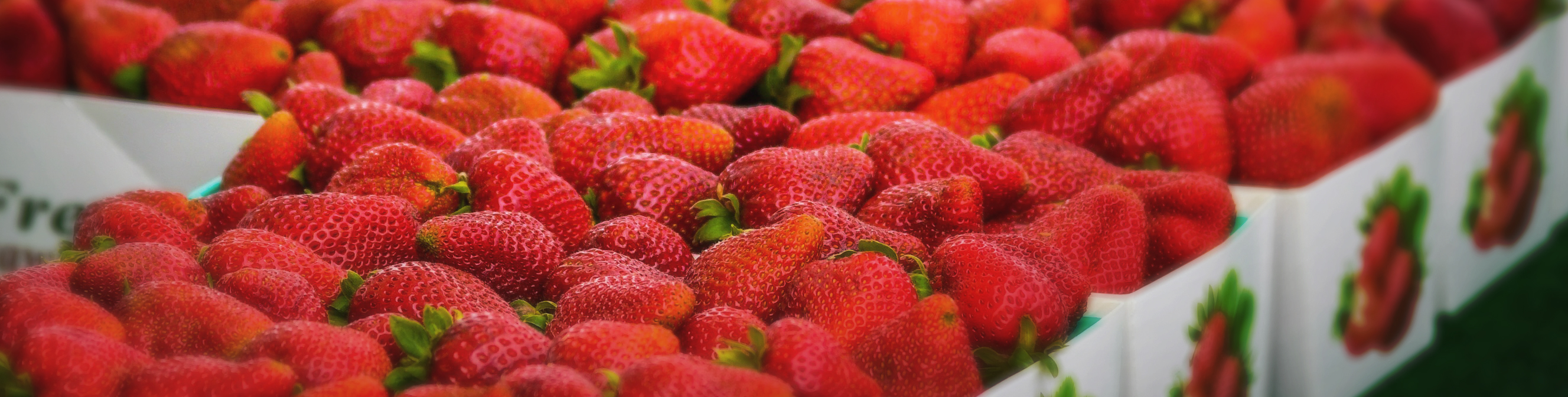 Discover the vibrant atmosphere of Camarillo Farmers Market, dedicated to supporting local causes and fresh produce.