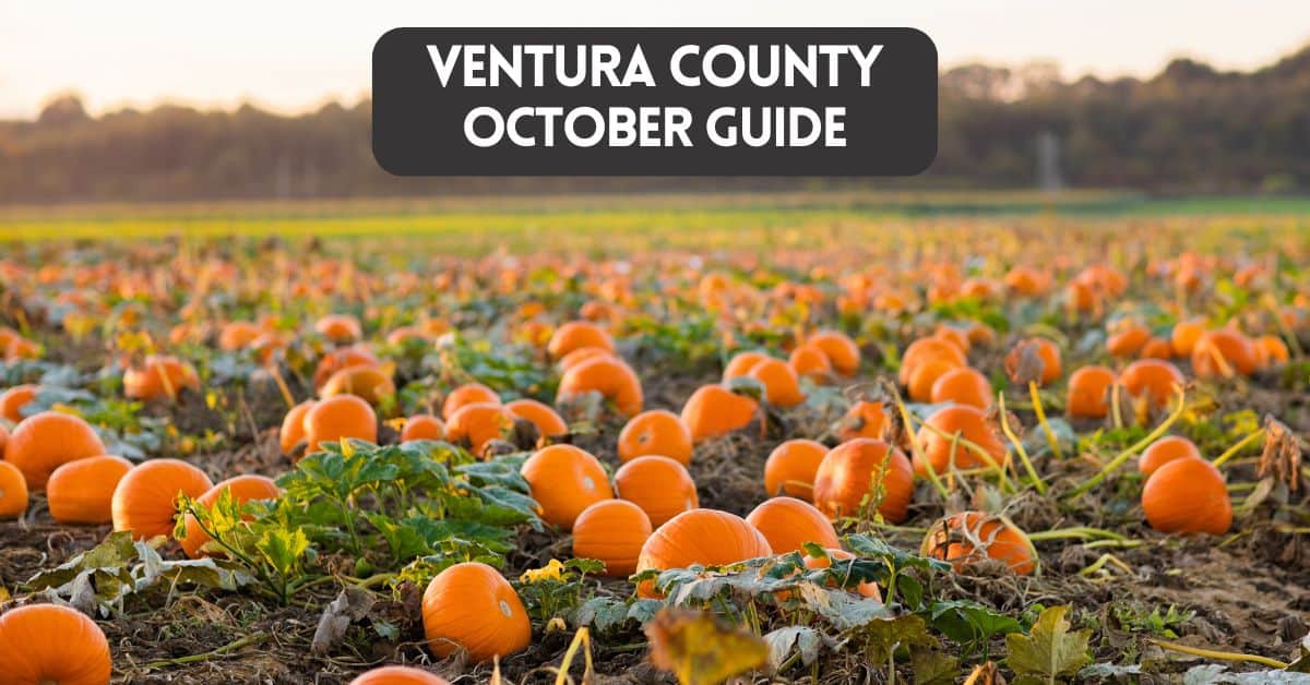 Exciting activities lined up this October in Ventura County, including our Fall Festival!