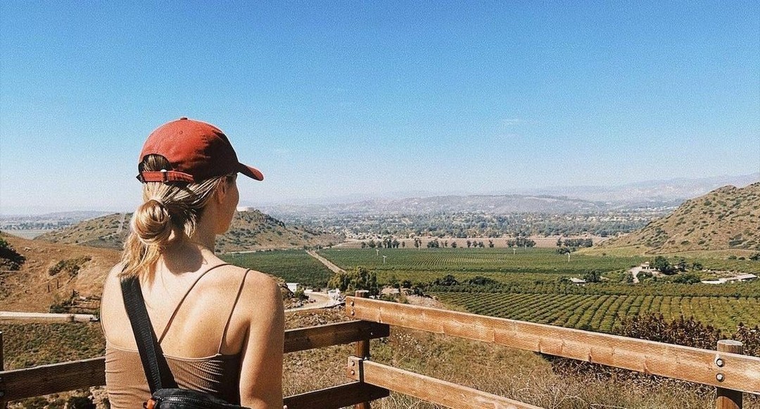 Local snapshot by Search 805 Homes demonstrating golden-hour light and candid farm moments.